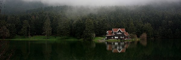 Jezioro, Dom, Las, Odbicie, Mgła