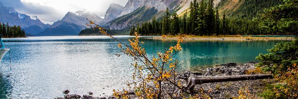 Jezioro, Roślinność, Góry, Kanada