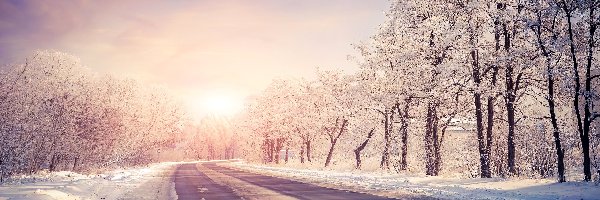 Droga, Drzewa, Wschód słońca, Zima