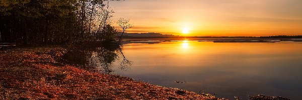 Wschód słońca, Jezioro Lake Winnipesaukee, Plaża Leavitt Beach, Drzewa, Stan New Hampshire, Stany Zjednoczone
