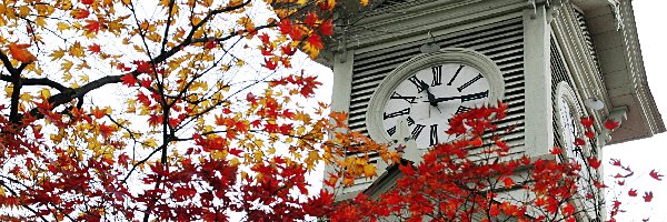 wieża zegarowa, Japonia, Sapporo, jesień, liście