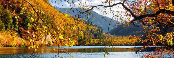Drzewa, Jesień, Las, Park Narodowy Jiuzhaigou, Chiny, Jezioro Panda Lake, Góry