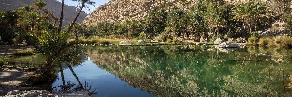 Palmy, Staw, Góry, Odbicie, Wadi Bani Khalid, Oman