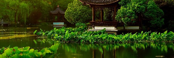Chiny, Altanki, Drzewa, Park, Staw, Hangzhou, Liście Lotosu