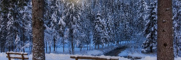 Zima, Drzewa, Park, Wschód słońca, Ławki