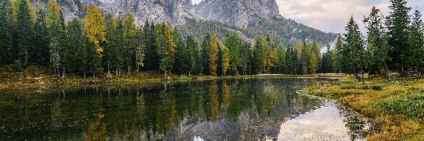 Trawa, Jezioro Lago di Antorno, Góry, Dolomity, Włochy, Drzewa, Las