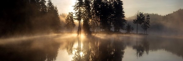 Jezioro, Mgła, Drzewa, Wschód słońca, Odbicie