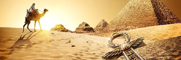 Pustynia, Wielbłąd, Piramidy, Egipt