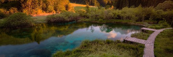 Drewniany, Jezioro Zelenci, Góry, Rezerwat przyrody Zelenci Springs, Słowenia, Pomost, Lasy