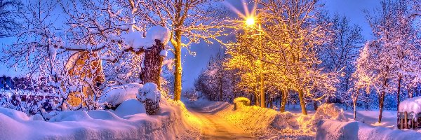 Zima, Drzewa, Droga, Domek, Latarnia