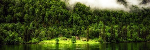 Las, Chatka, Chmury, Jezioro