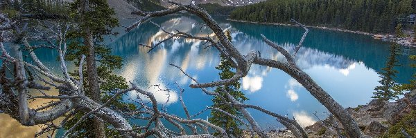 Jezioro Moraine, Prowincja Alberta, Drzewa, Powalone, Park Narodowy Banff, Góry, Jezioro, Kanada
