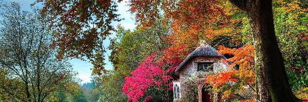 Droga, Drzewa, Dom, Jesień