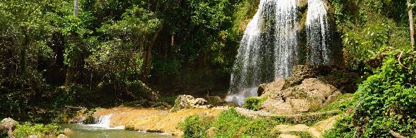 Republika Kuby, Drzewa, Wodospad Salto de Soroa, Kamienie, Trawa