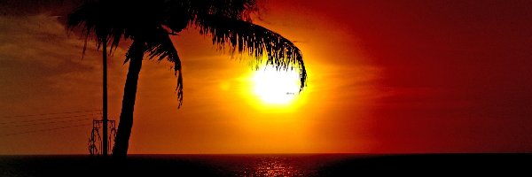 Słońca, Palma, Morze, Zachód