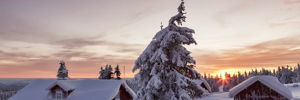 Drzewa, Zima, Zachód słońca, Gmina Lillehammer, Norwegia, Ośnieżone, Domy