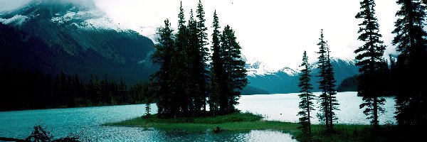 Jezioro, Góry, Wysepka, Alberta, Drzewa