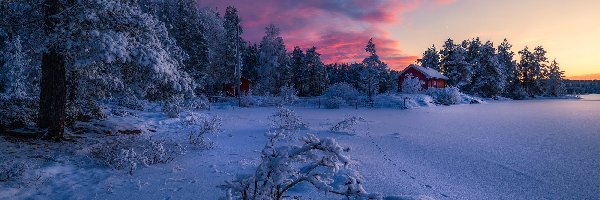 Chmury, Zima, Drzewa, Gmina Ringerike, Norwegia, Zachód słońca, Domek