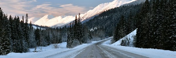 Zima, Góra Murray Range, Przełęcz Pine Pass, Kolumbia Brytyjska, Kanada, Drzewa, Las, Droga Highway 97, Chmury