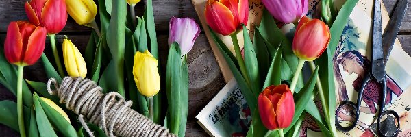 Kwiaty, Nożyce, Tulipany, Gazeta, Sznurek