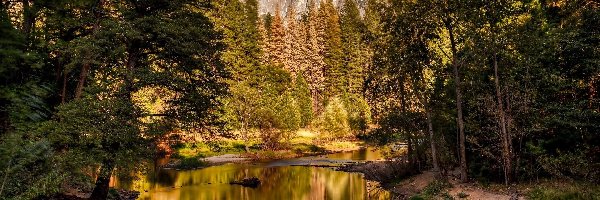 Rzeka Merced River, Stan Kalifornia, Drzewa, Half Dome, Park Narodowy Yosemite, Skały, Góry, Stany Zjednoczone