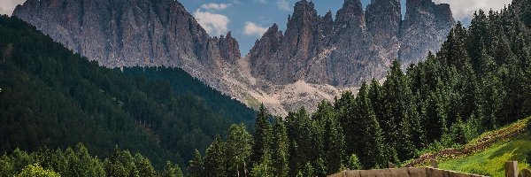 Łąka, Góry, Dolomity, Południowy Tyrol, Włochy, Ogrodzenie, Drzewa, Masyw Odle, Las