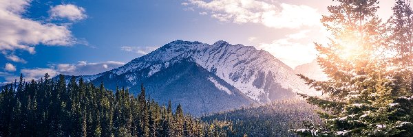 Wschód słońca, Park Narodowy Banff, Góry Skaliste, Prowincja Alberta, Kanada, Drzewa, Las