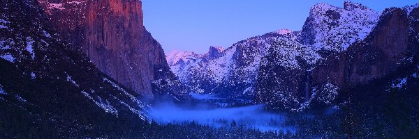 Zima, Park Narodowy Yosemite, Góry, Stan Kalifornia, Stany Zjednoczone, Mgła, Las