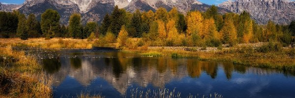 Park Narodowy Grand Teton, Rzeka, Stany Zjednoczone, Drzewa, Góry, Teton Range, Las, Jesień, Snake River, Wyoming