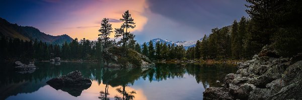 Kamienie, Jezioro Lago Nero, Góry Alpy Szwajcarskie, Pontresina, Szwajcaria, Odbicie, Drzewa