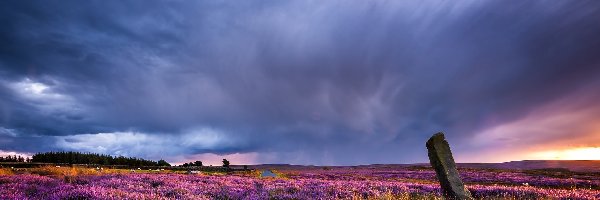 Świt, Chmury, Wrzosowisko