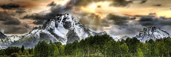 Las, Park Narodowy Grand Teton, Góry, Jezioro, Stan Wyoming, Stany Zjednoczone