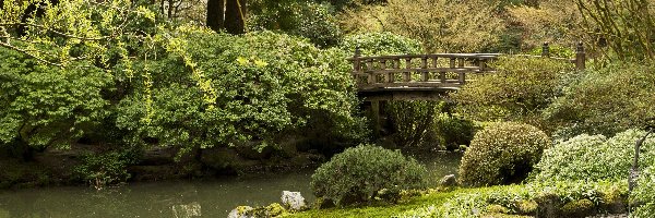 Ogród japoński, Stan Oregon, Kamienie, Most, Portland, Park, Staw, Stany Zjednoczone