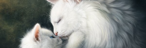 Kotki, Białe, Dwa