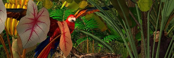 3D, Dżungla, Tropikalna