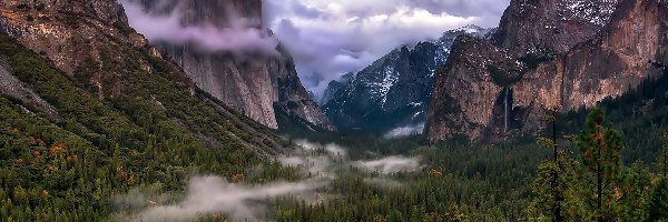 Lasy, Park Narodowy Yosemite, Góry, Chmury, Stan Kalifornia, Stany Zjednoczone