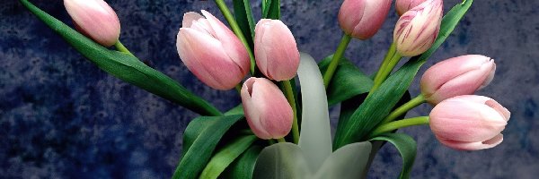 Tulipany, Różowe, Wazon