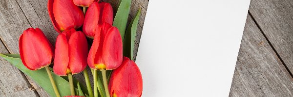 Kartka, Tulipany, Kwiaty