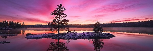 Norwegia, Wysepka, Jezioro, Drzewa, Zachód Słońca