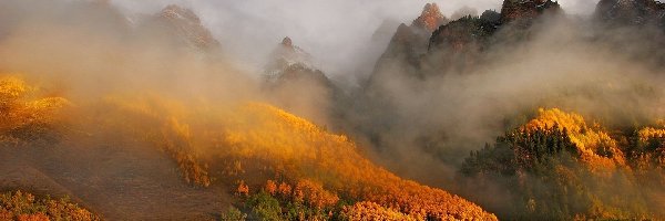 Las, Chmury, Góry, Jesień