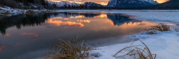 Góry, Góra Mount Rundle, Trawa, Wschód słońca, Prowincja Alberta, Kanada, Zima, Jezioro Vermilion Lakes, Park Narodowy Banff, Kępy