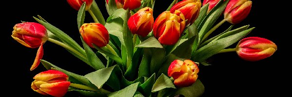 Wazon, Czerwono-żółte, Tulipany, Tło czarne, Bukiet, Kwiaty