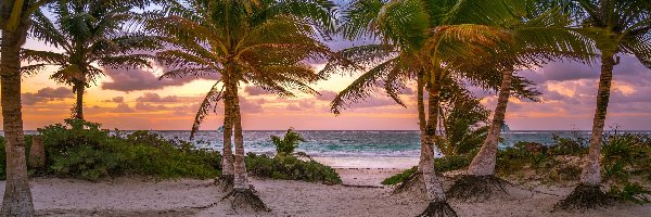 Chmury, Miejscowość Tulum, Wschód Słońca, Prowincja Quintana Roo, Meksyk, Palmy, Morze Karaibskie