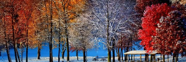 Park, Jezioro, Śnieg, Drzewa