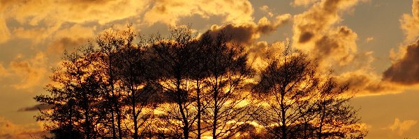 Drzewa, Chmury, Zachód Słońca