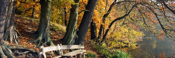 Park, ławki, Jesień