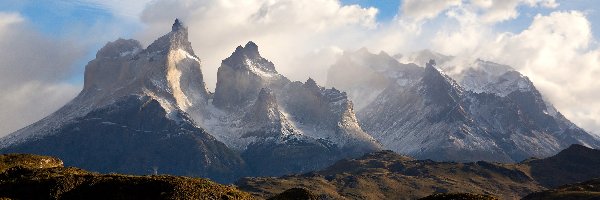 Roślinność, Patagonia, Chmury, Brzeg, Park Narodowy Torres Del Paine, Jezioro Pehoé, Góry Cordillera del Paine, Chile