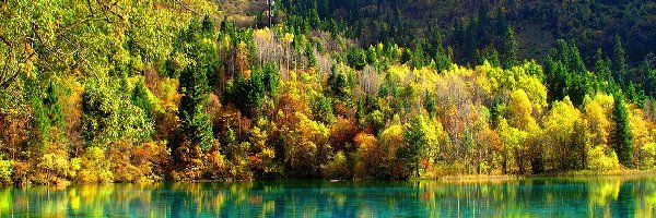 Jezioro, Drzewa, Góry