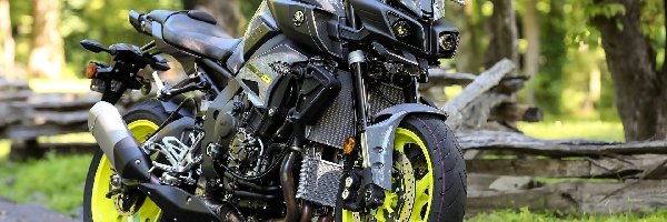 Yamaha FZ10, Motocykl