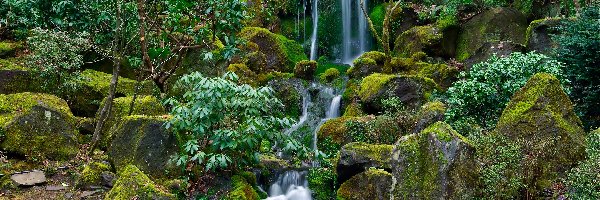 Ogród, Portland, Japoński, Wodospad, Oregon